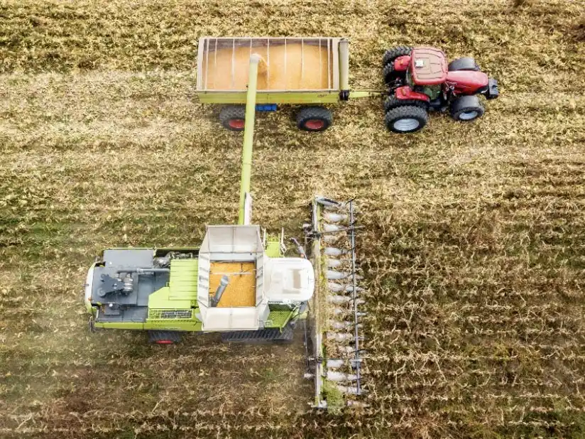Presentan al maíz como el gran protagonista de esta campaña agrícola