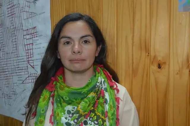 Cecilia Celis: “El radicalismo dentro de Cambiemos es como un tutor que está siempre mirando”