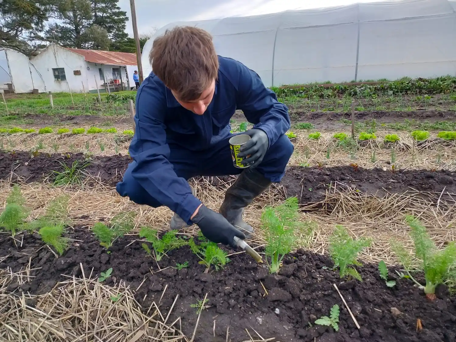Jóvenes del Instituto Agrotecnológico de Tandil modifican las formas de producción para ayudar al planeta