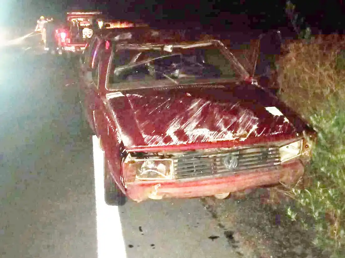 Una concordiense falleció tras chocar con una tropilla en una ruta de Uruguay