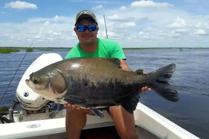 Sacaron un extraño pez en el río Paraná y se debate de qué especie se trata