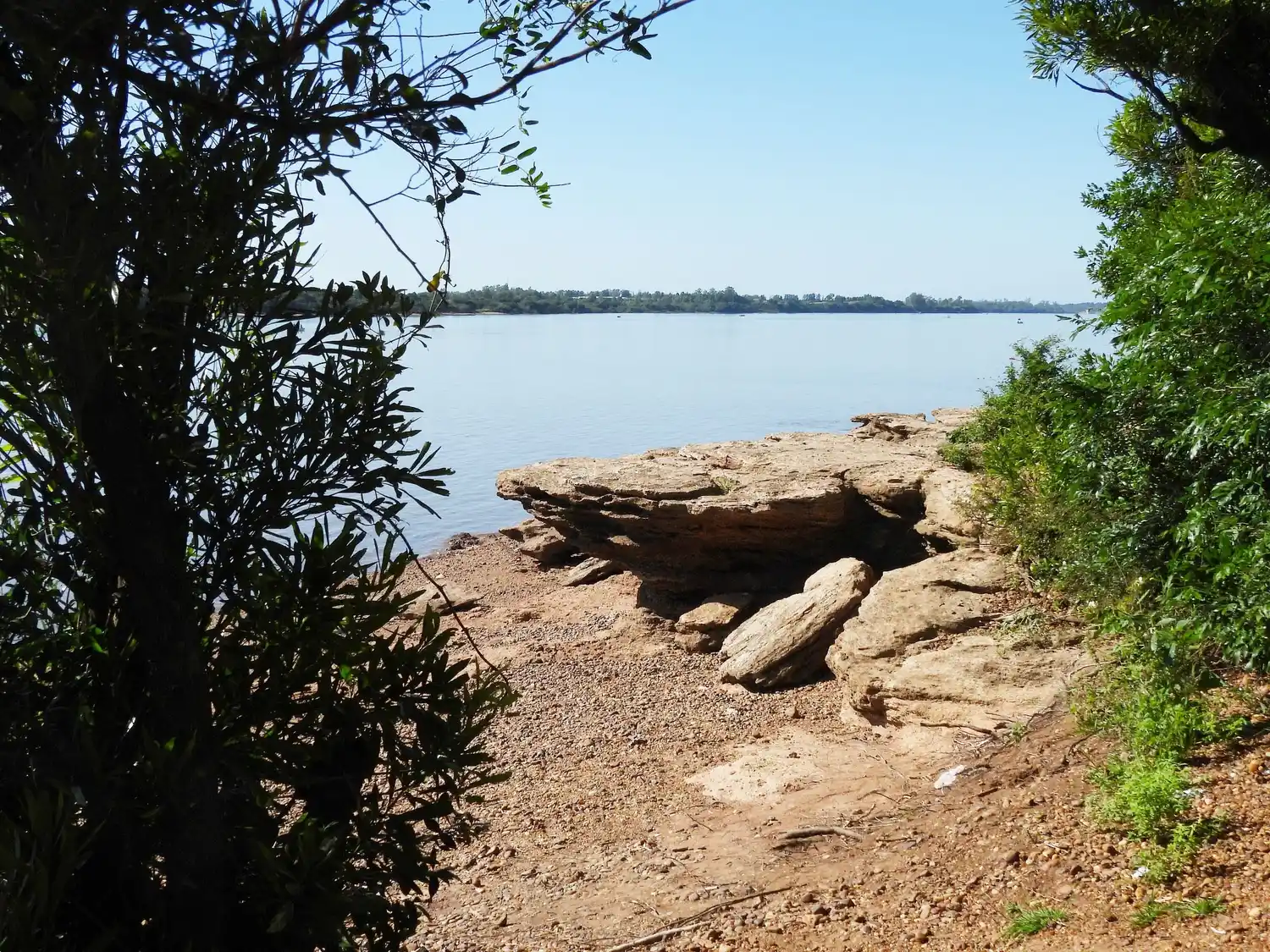 Hallan más de 200 especies de animales silvestres tras relevamiento en una reserva privada