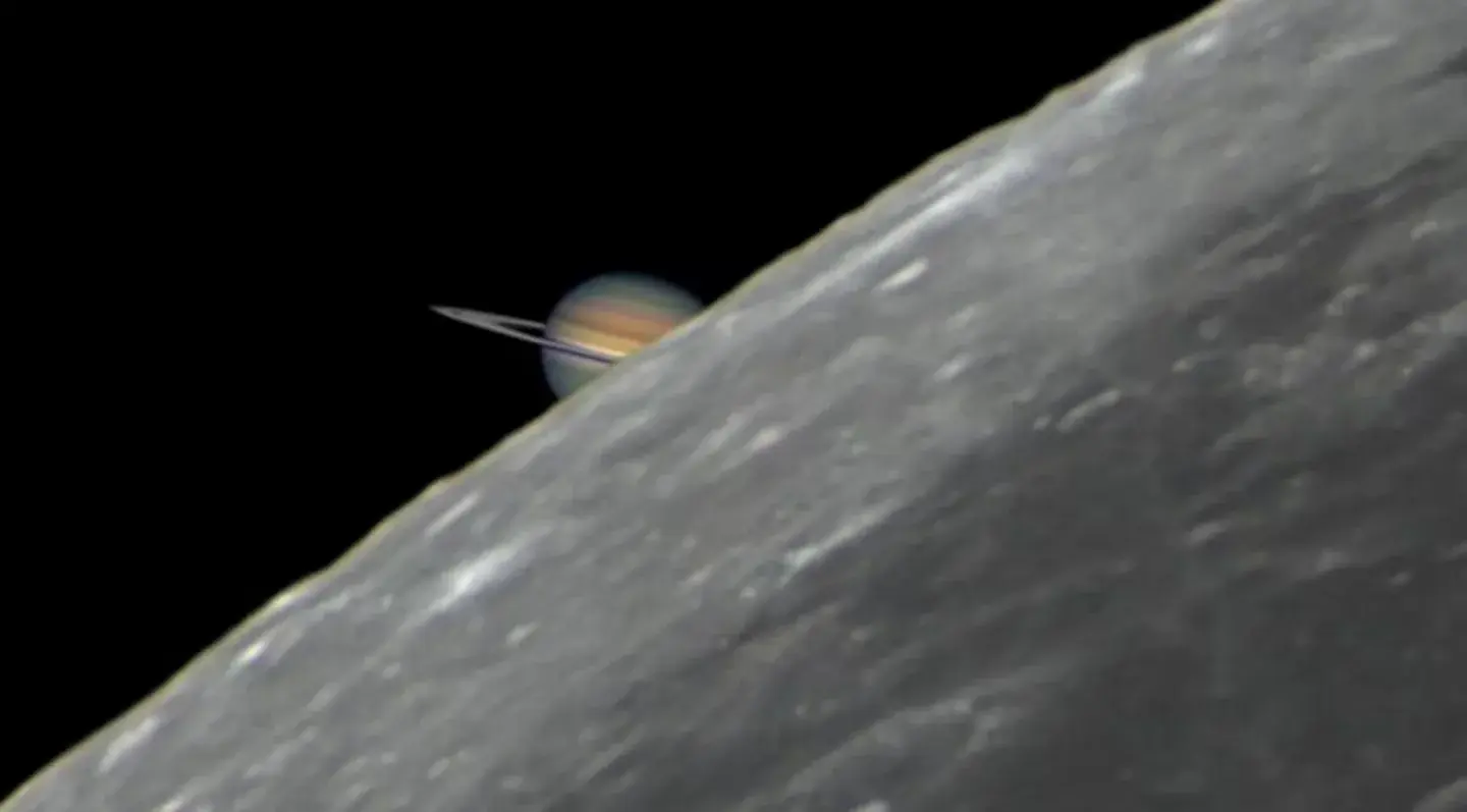 Saturno iluminará el cielo argentino: cuándo será la mejor noche para verlo y cómo encontrarlo