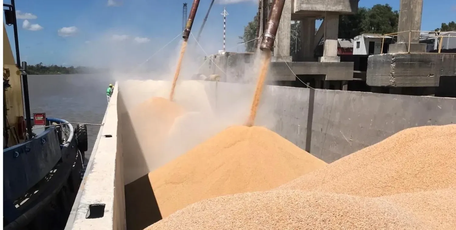 Agroexportadores liquidaron en mayo más de US$ 3 mil millones.