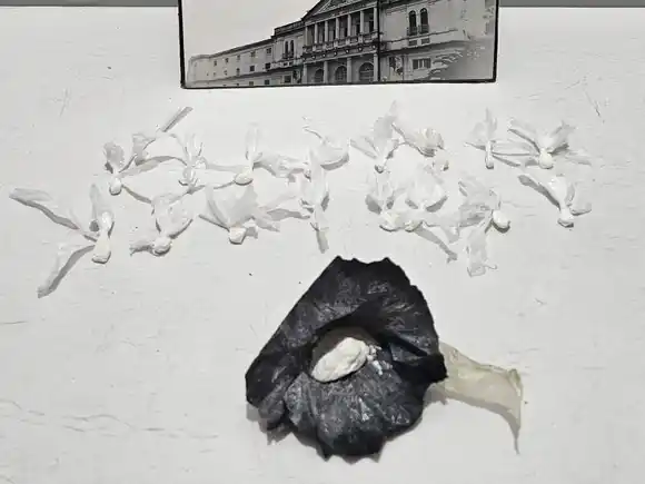 Descubrieron un búnker de drogas por el robo de una pistola neumática