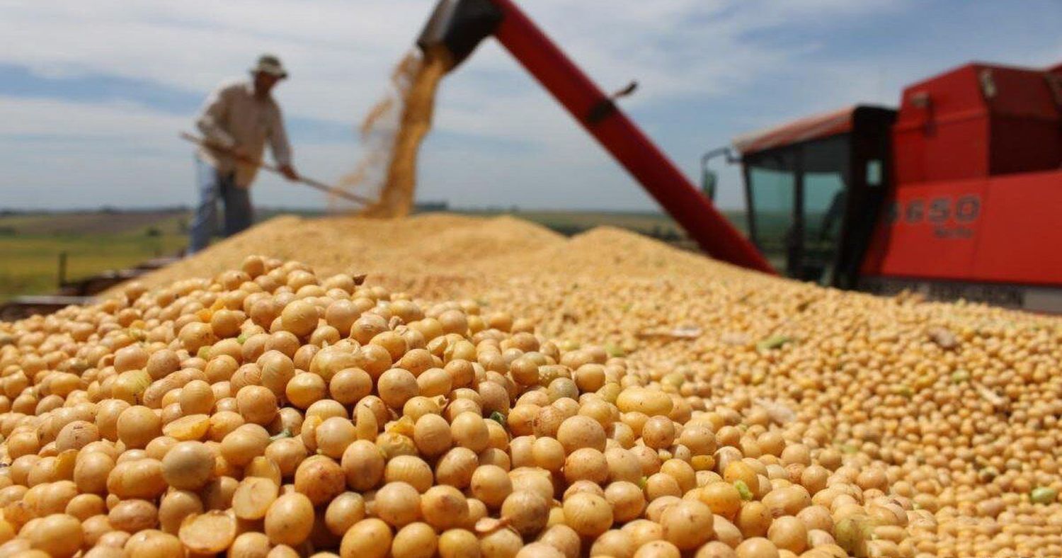 Luis Caputo anunció la baja de aranceles de importación para herbicidas y la mejora de aprobaciones de los permisos del Senasa.