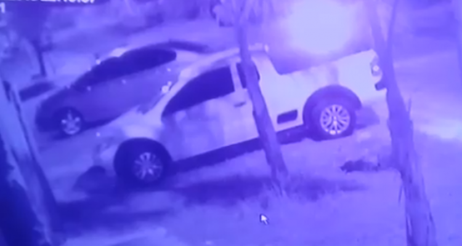 Video: Así robaron en una vivienda de Los Aromos