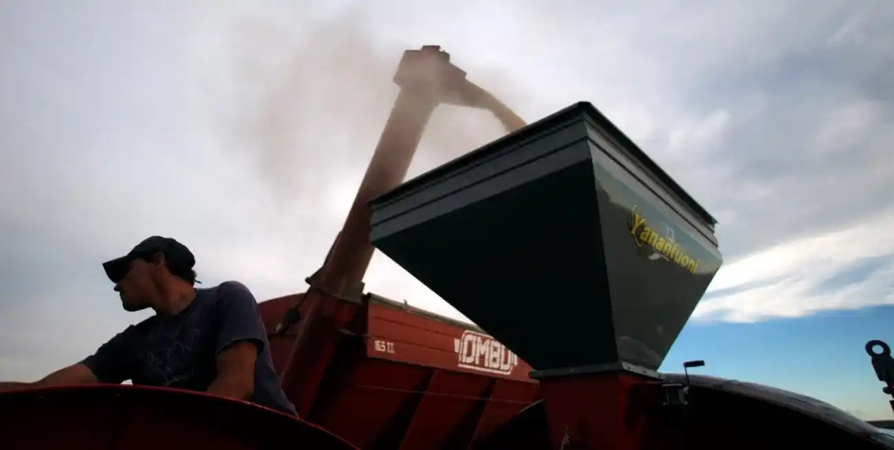 Los productores asumen riesgos y son últimos en el reparto de beneficios de una cadena decisiva para el país