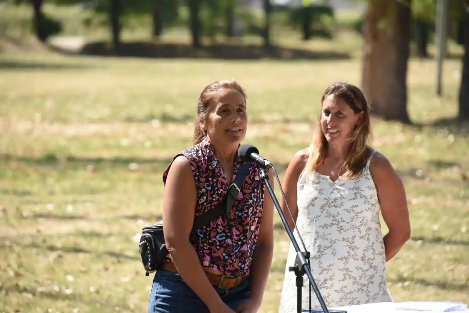 escuelas abiertas en verano cierre 2026 29-01-26 - 3