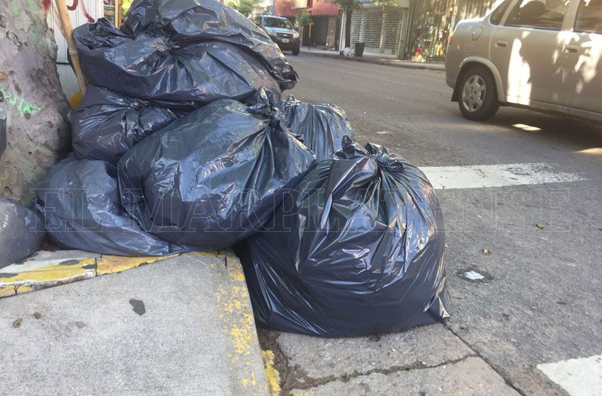 Mar del Plata sin recolección: "Esto se agrava más día a día"