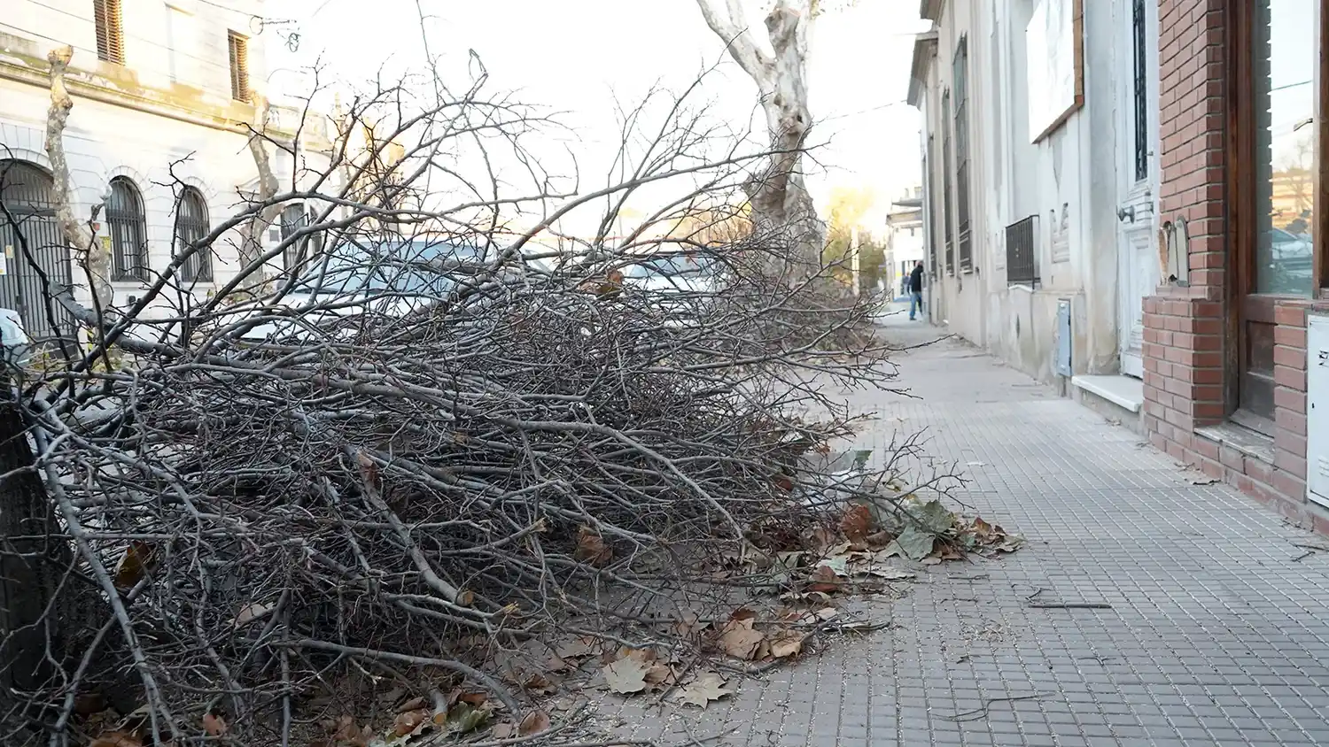 Ramas. En oficinas públicas el trabajo lo lleva adelante personal municipal