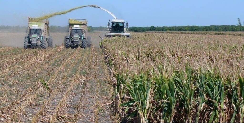 Semana clave para la cosecha y el picado, marcada por excesos hídricos en el centro norte provincial