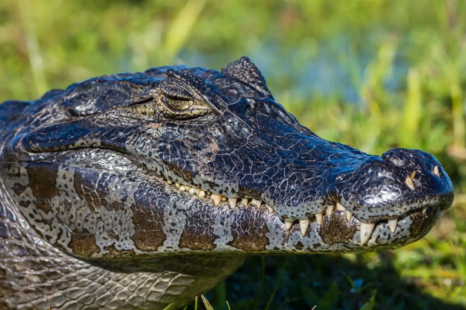 Guillermo Vidal - Fotógrafo - Disertará en una charla sobre fotografía de naturaleza "Belleza oculta de nuestra región " - 3