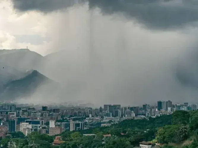 Cortesía
