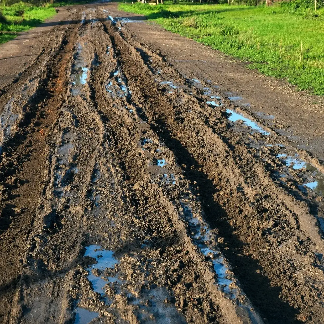 Vecinos de ruta 11 denuncian "promesas incumplidas": con solo 15 milímetros de lluvia no pueden transitar