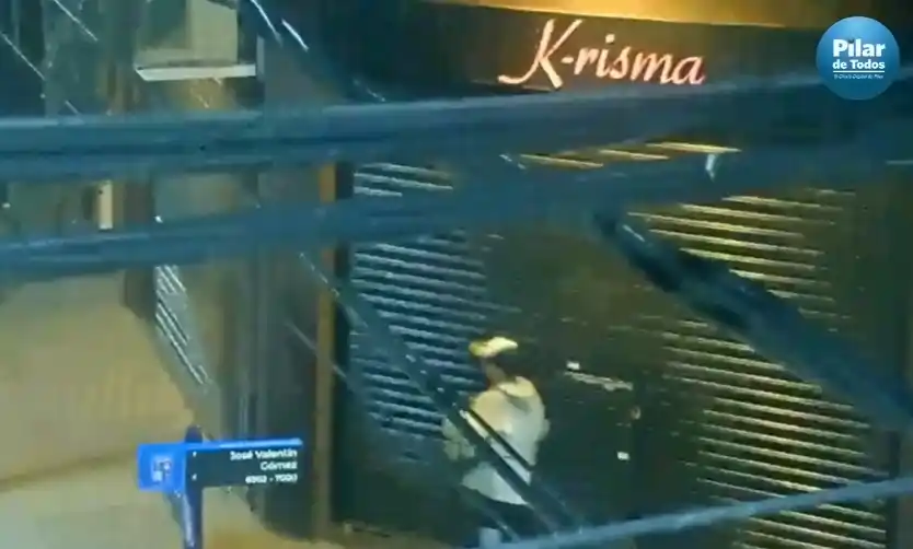 Robó un comercio y quedó grabado por las cámaras de seguridad
