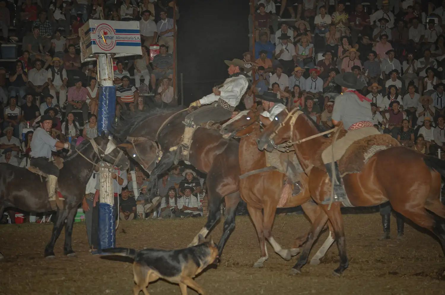 Festival de Diamante: la jineteada tiene nuevos campeones