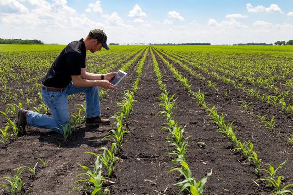 Entre Ríos impulsa una jornada clave sobre Buenas Prácticas Agropecuarias