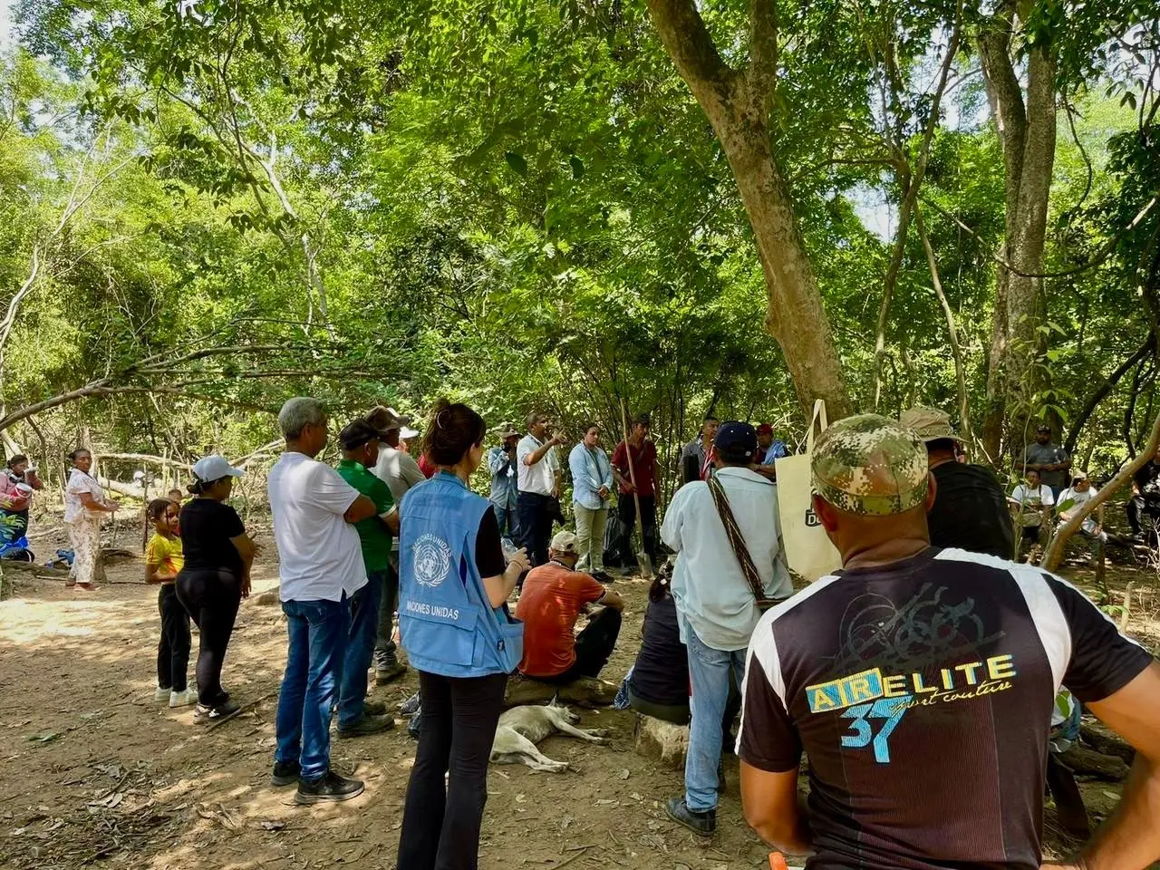 Colombia: piden al Consejo de Seguridad mantener la Misión de Verificación de la ONU