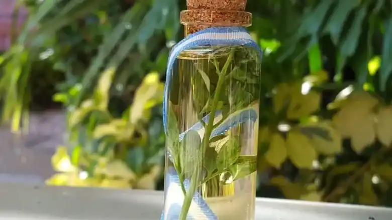 Se recomienda prepararla con un mes de antelación