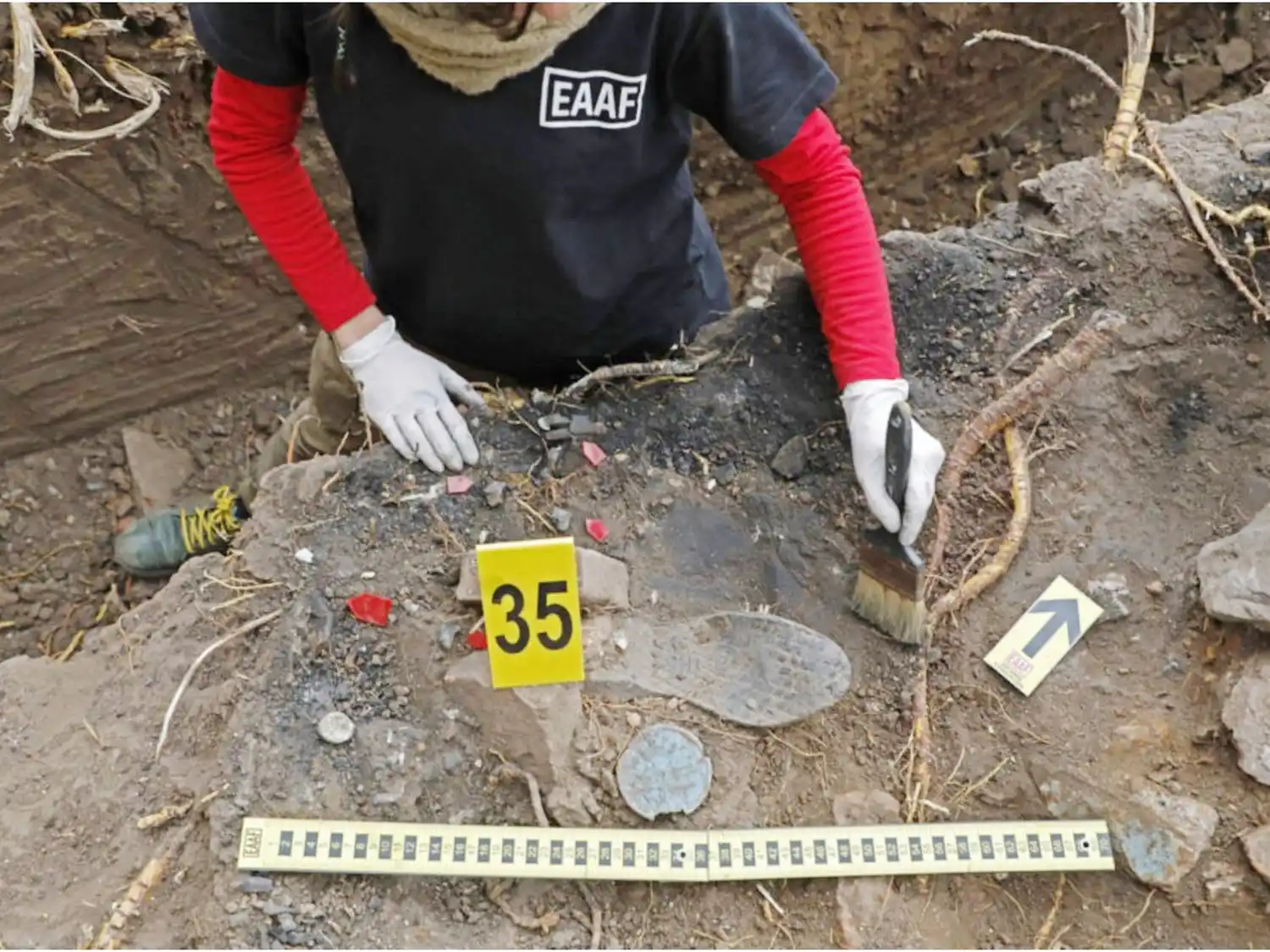 Integrante del Equipo Argentino de Antropología Forense dará una charla en el Museo Serrano