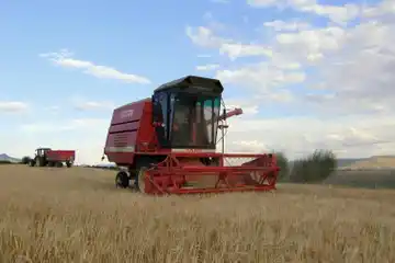 El Gobierno oficializó la baja de retenciones a la soja, el maíz y trigo: cómo quedan las alícuotas desde hoy