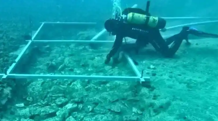 Descubrieron una carretera de 7.000 años de antigüedad en el fondo del mar Mediterráneo