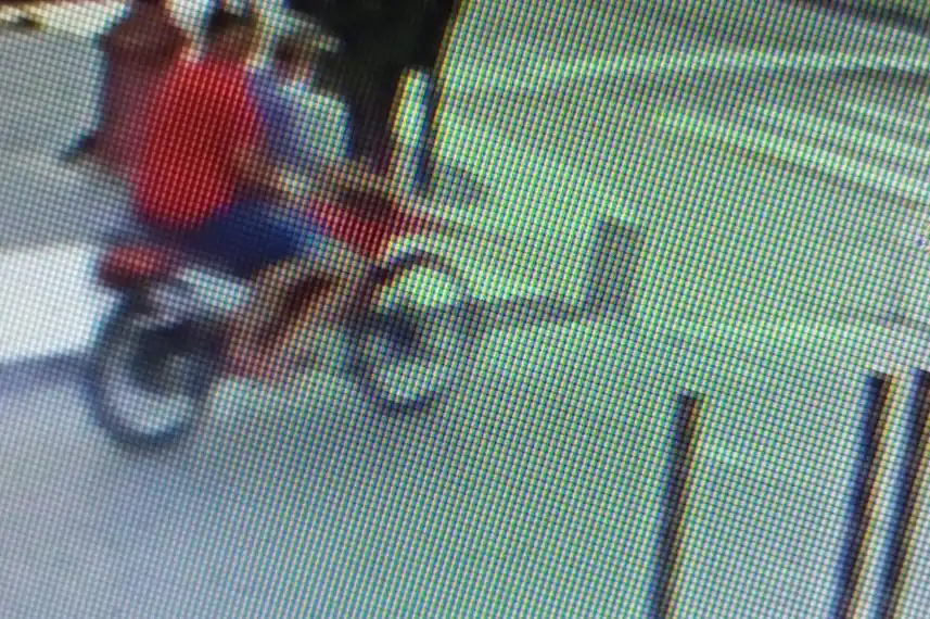 Picadas, perros sueltos y ruidos molestos: El reclamo de los prestadores de costanera