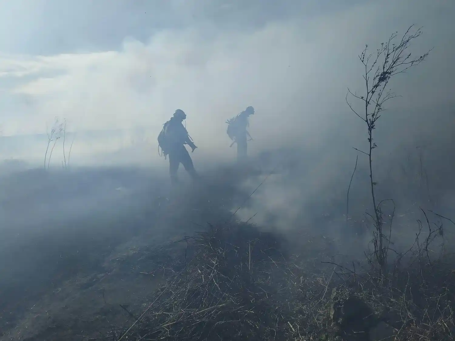 Ambientalistas cortan el puente hoy a partir de las 14