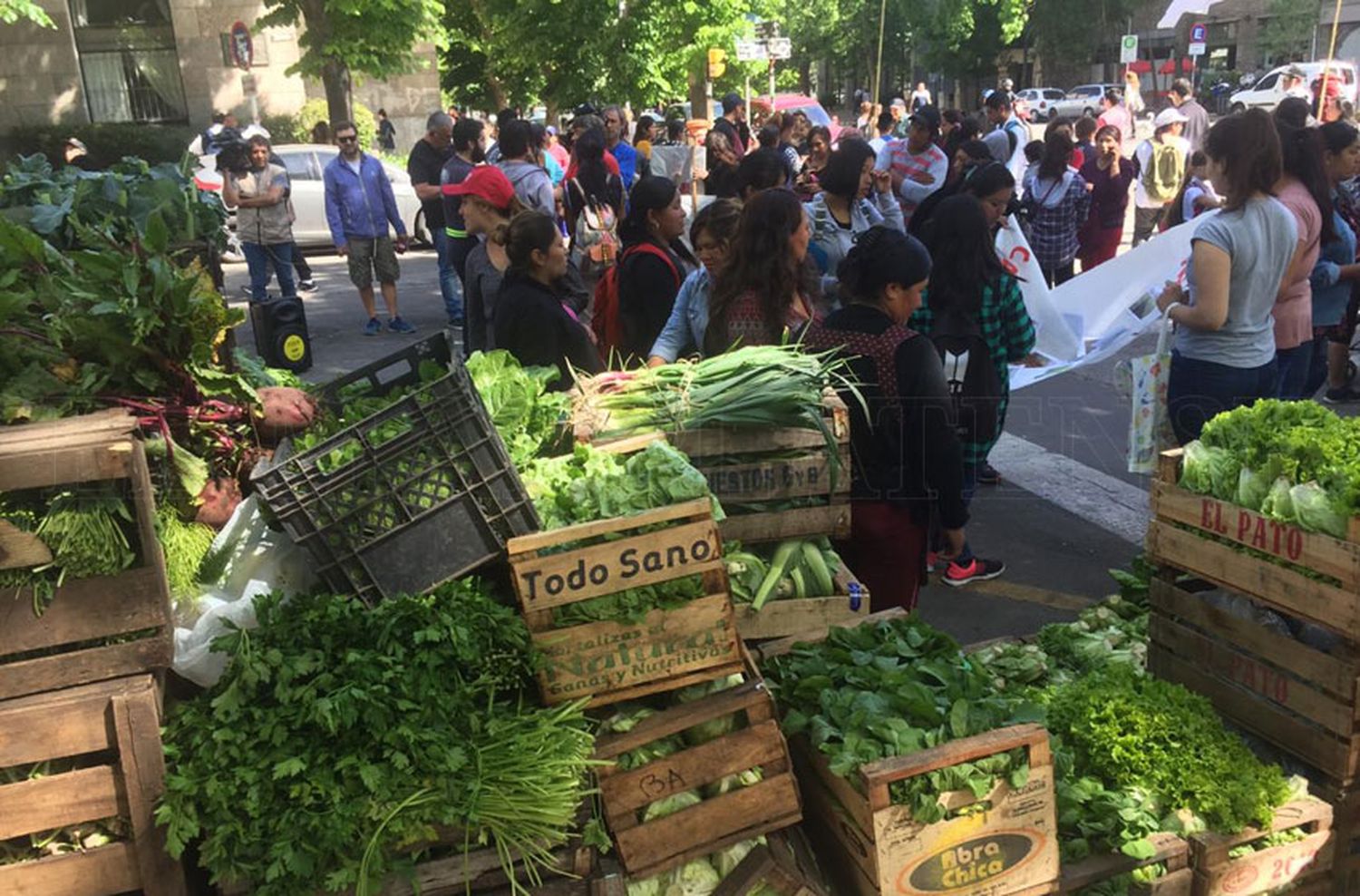 Pequeños productores realizaron un nuevo verdurazo en el Municipio