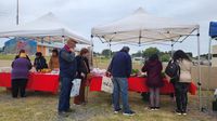 Cientos de tandilenses accedieron a productos locales en el Mercado Alimenticio Barrial en La Movediza