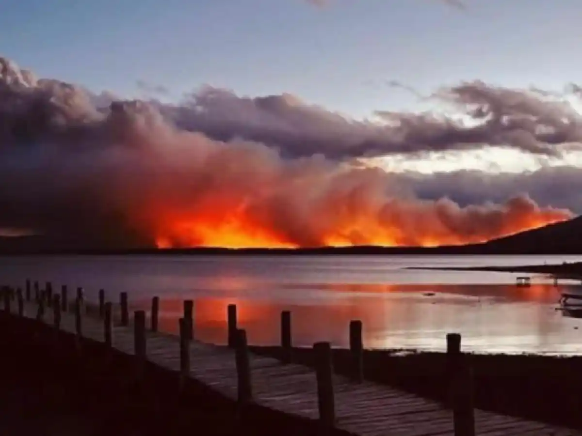 El Gobierno creó una unidad de prevención de delitos ambientales