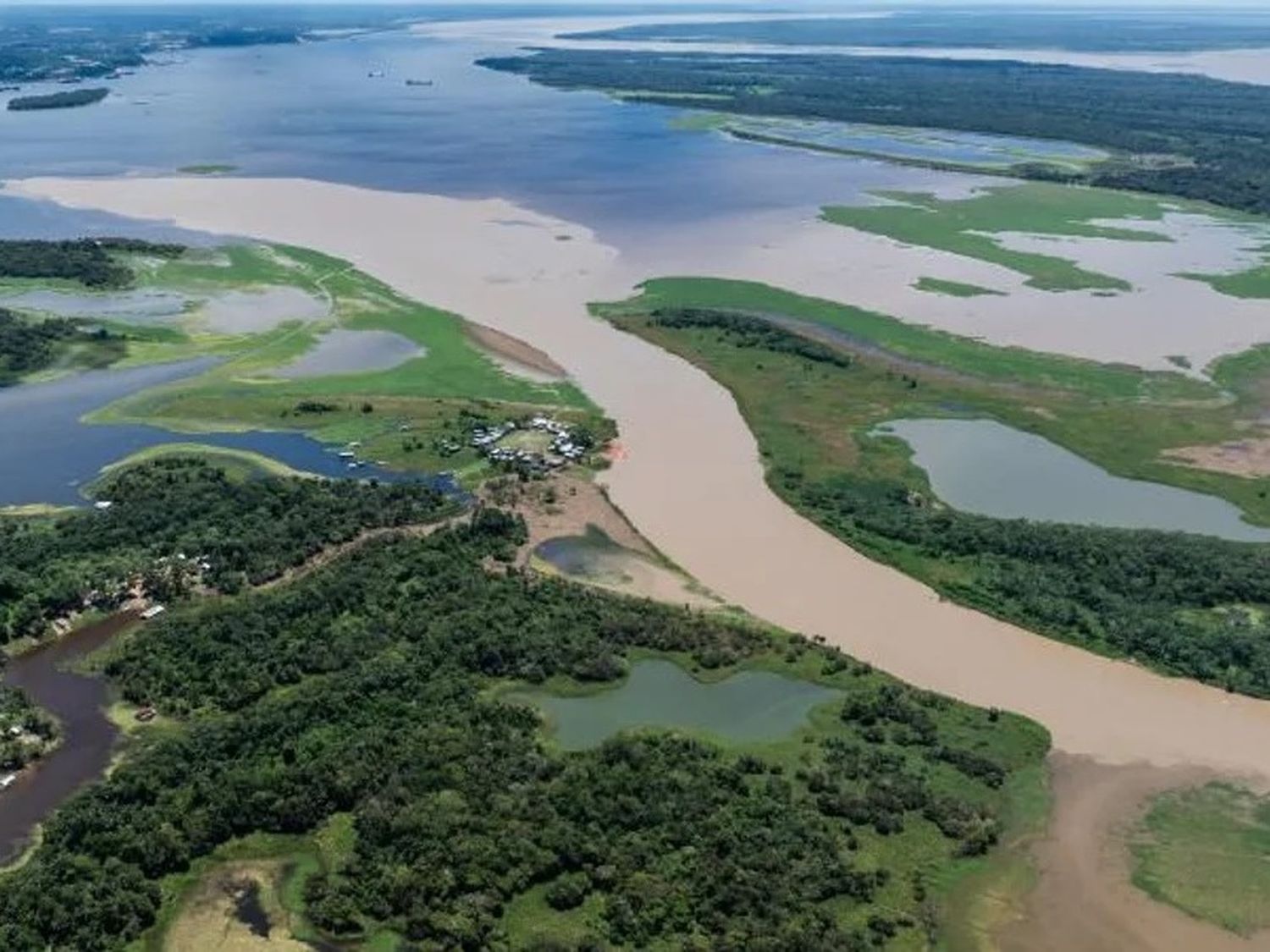 Una fundación alertó sobre la degradación del suelo en Amazonia