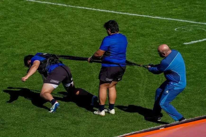 Los Pumas