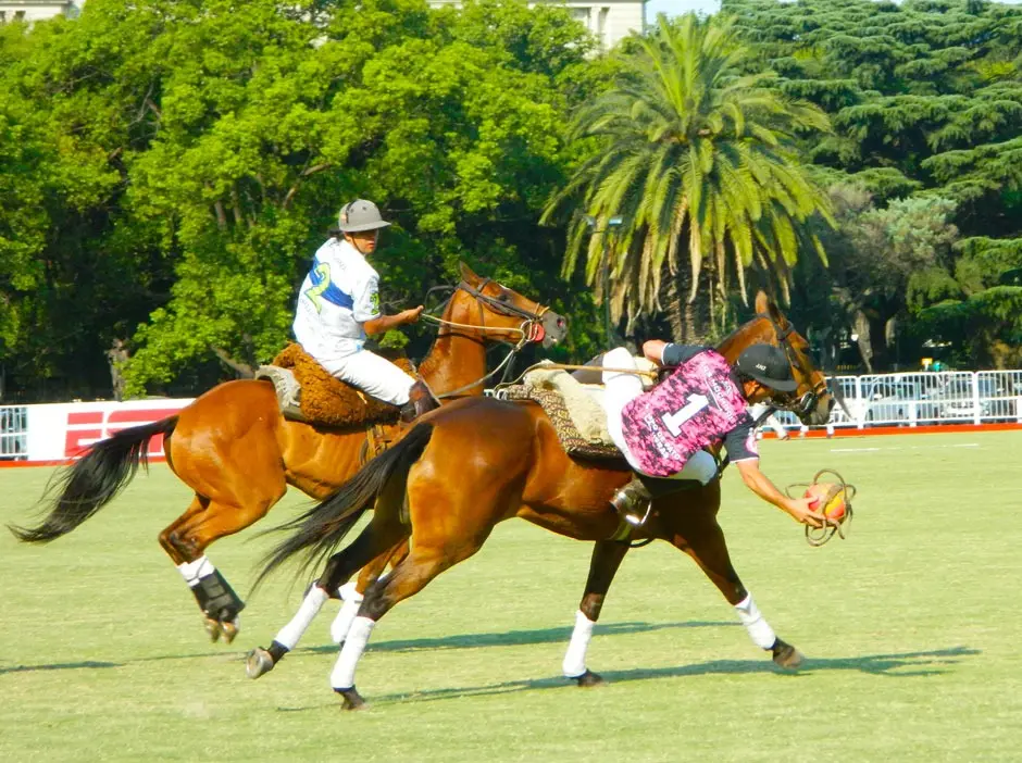 Hay fiesta en la Capital Nacional del Pato