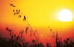 Pronostican escasez de lluvias y temperaturas altas hasta marzo