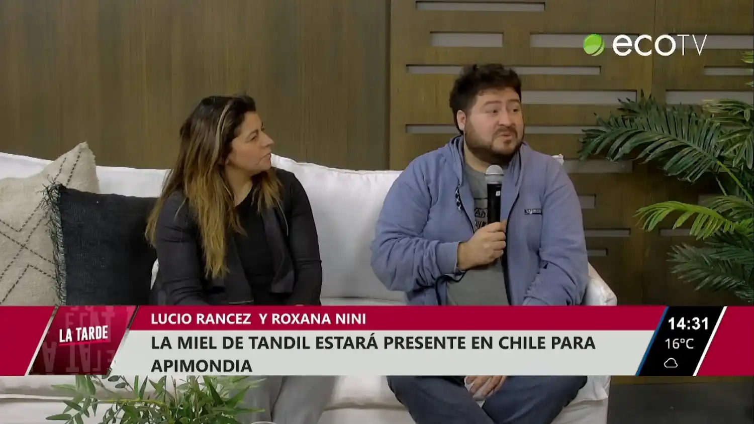 La miel de Tandil estará presente en Chile para Apimondia