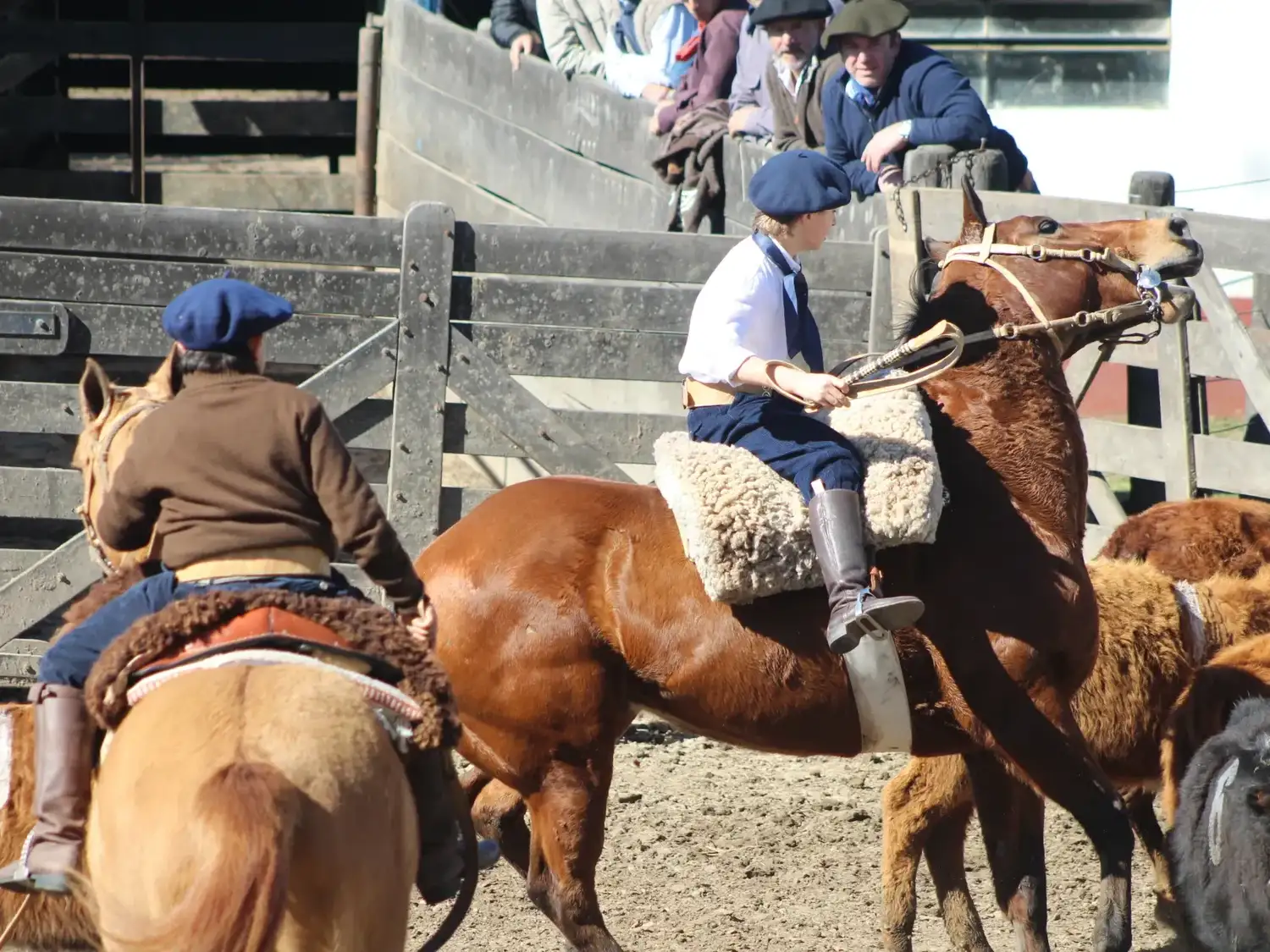 Se realizó con éxito la clasificatoria de la Prueba Aparte en la Sociedad Rural de Gualeguay