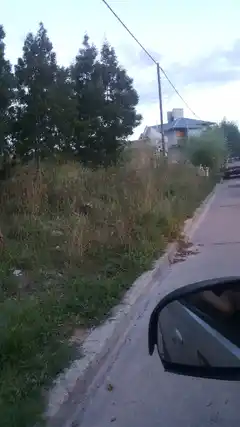 Baldíos descuidados