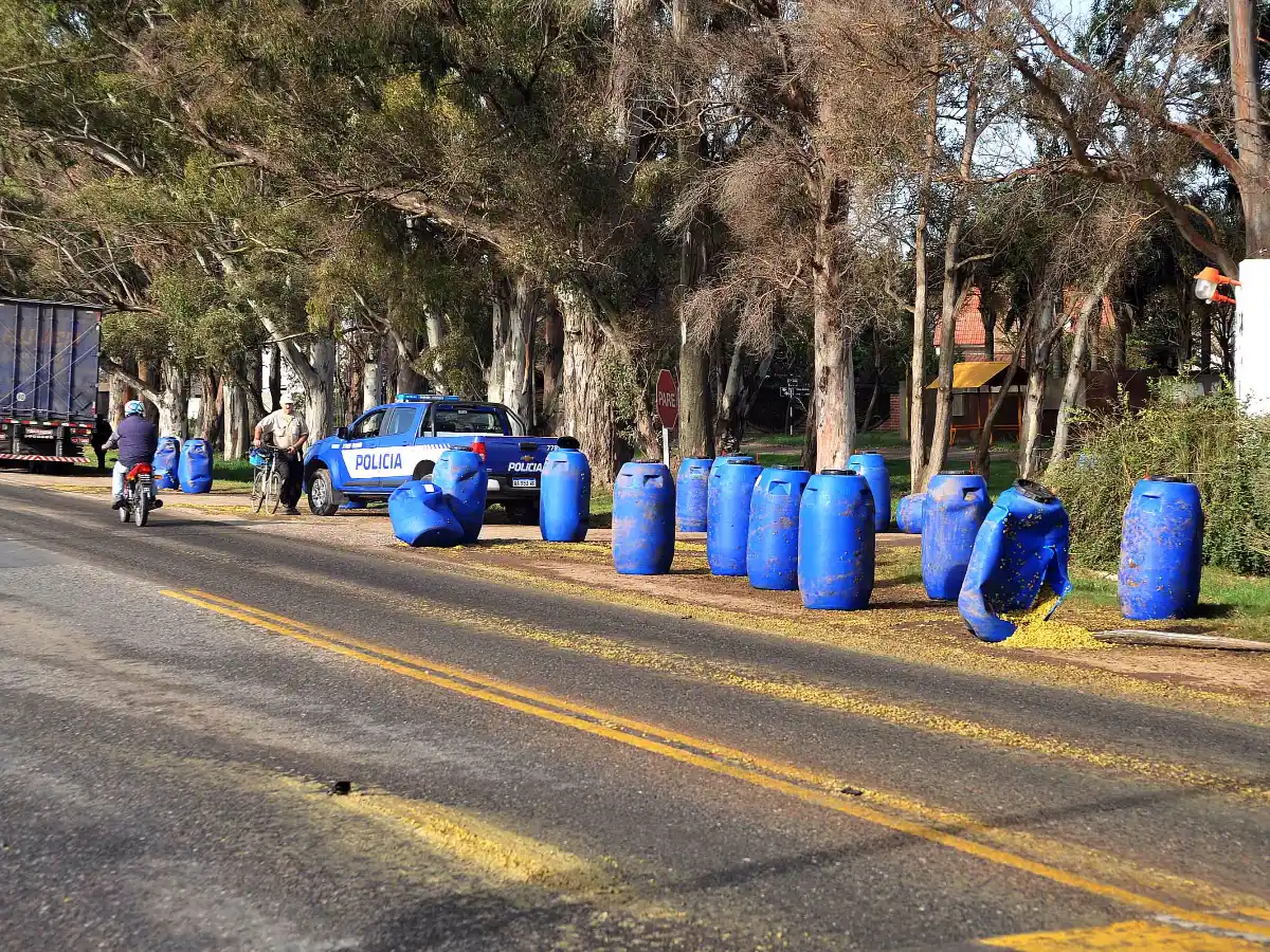 Camión transportaba aceitunas y perdió parte de la carga sobre Av. Maipú