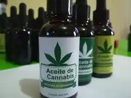 Entre Ríos tendrá un observatorio sobre cannabis medicinal e industrial