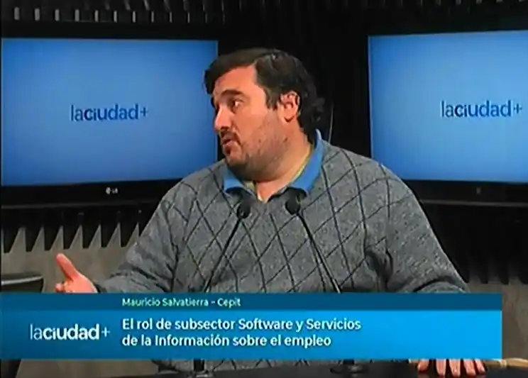 Los números del subsector Software y Servicios de la Información | La Ciudad