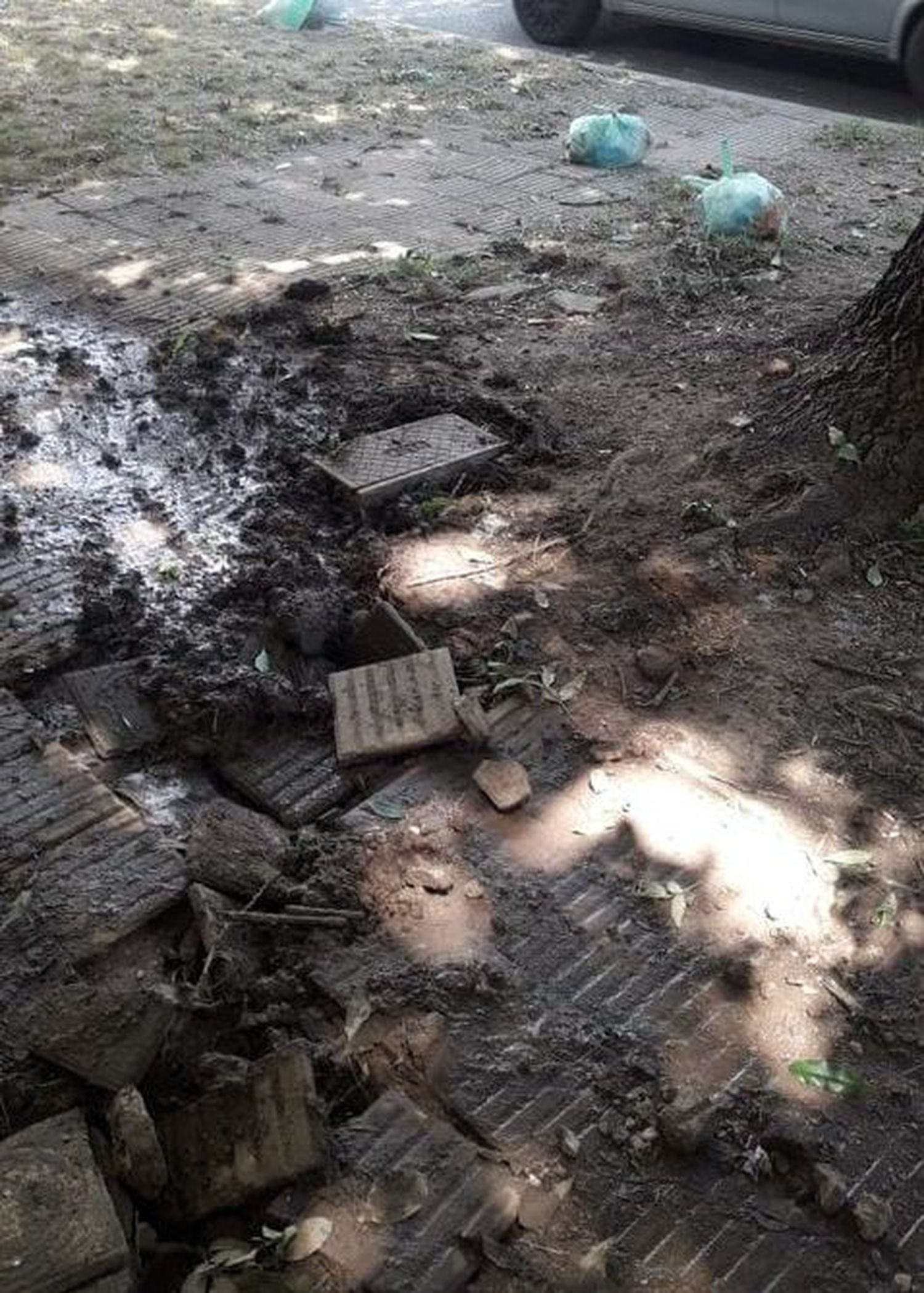 “Arreglaron pérdida de agua y los vecinos la usan de basural”