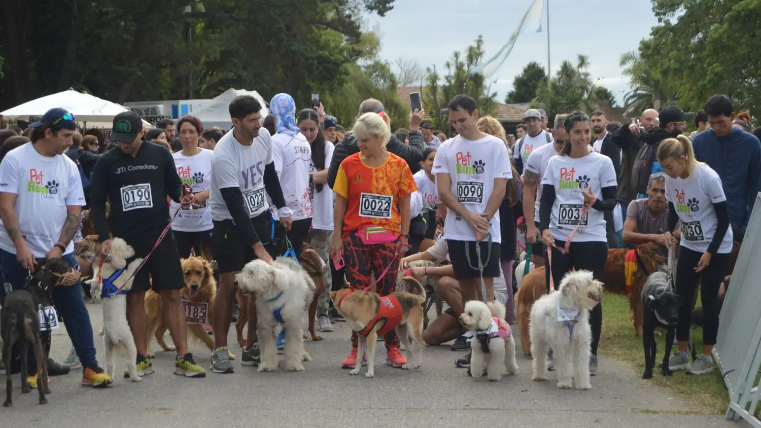 pet run 2024