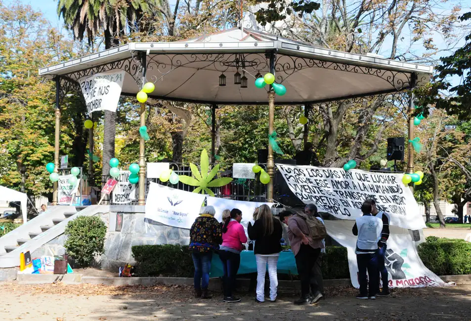 Cannabis Medicinal Tandil ya se ubica en la Plaza Independencia para brindar información