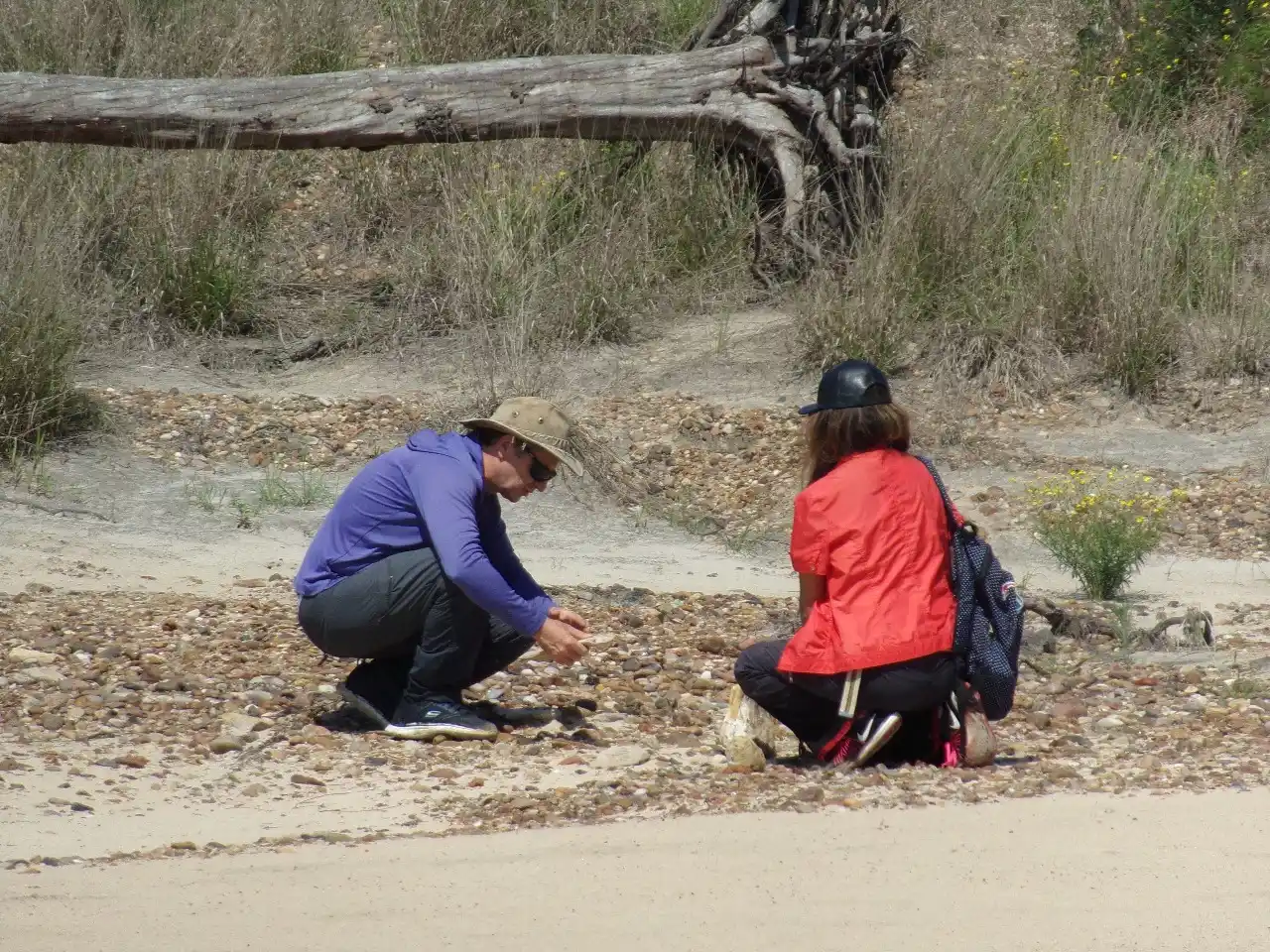 Denuncia de hallazgos fósiles en Concordia activa investigación científica