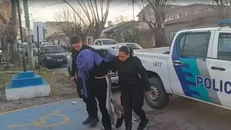 Los perros están fuera de peligro