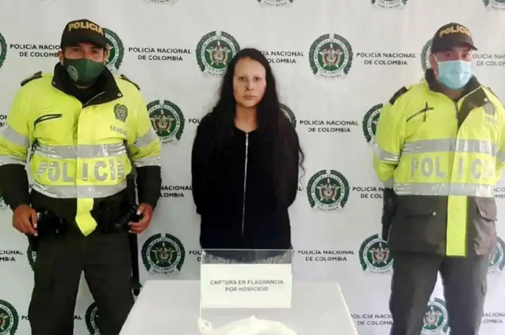 Asesinó con cuchillo a su madre en medio de una pelea