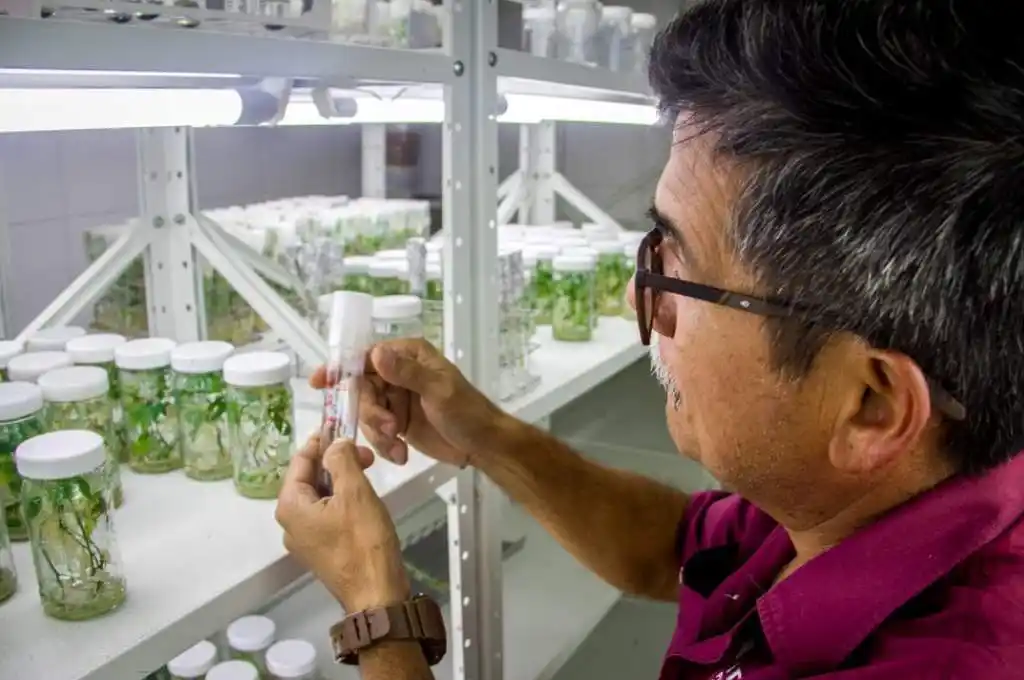 Detectaron los primeros casos en el norte del país vecino