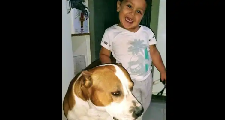 Trasladaron a un centro de rehabilitación a Waldemar, el niño de 4 años atropellado por una moto
